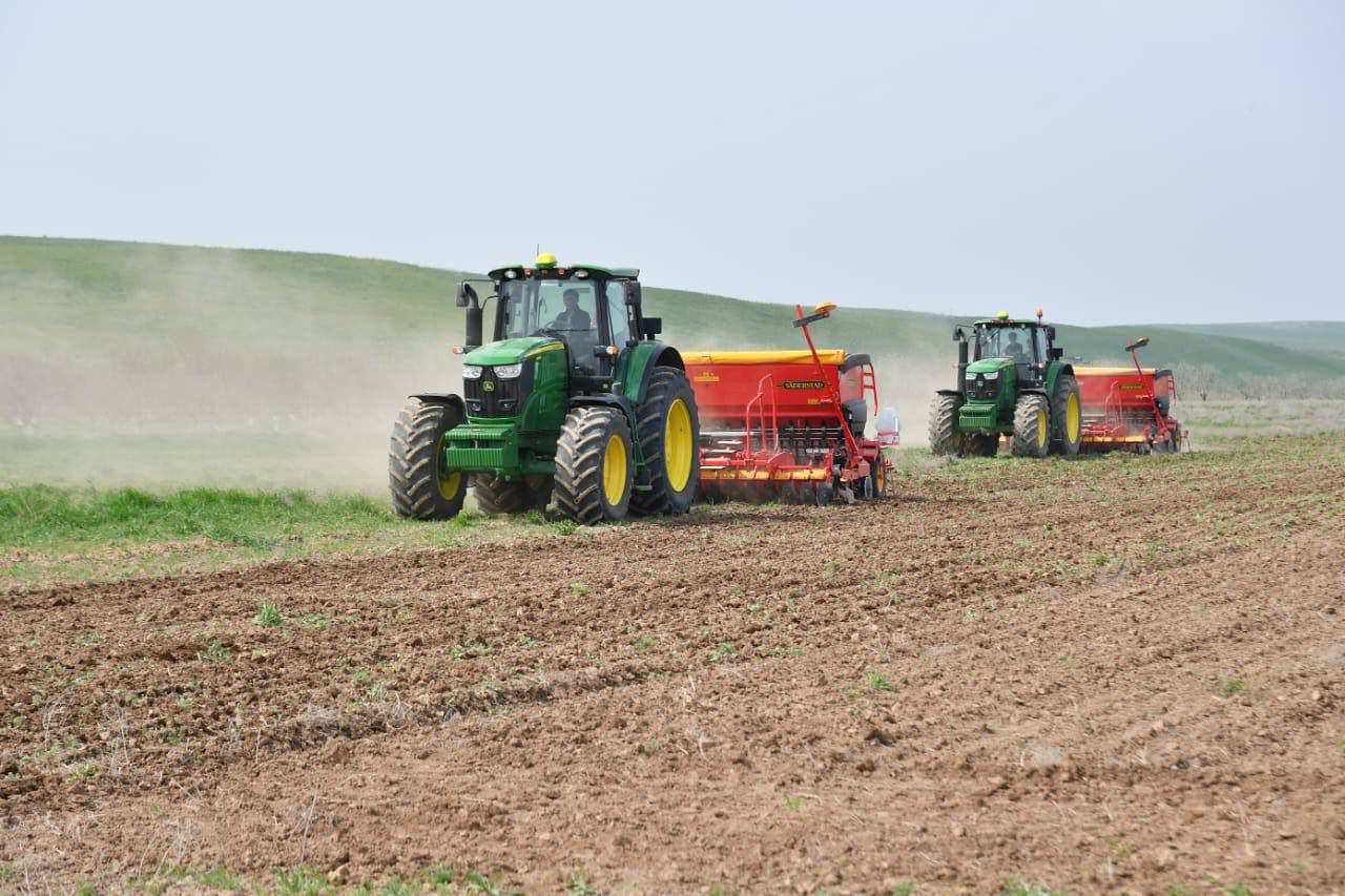 ЕГІСТІК АЛҚАПТАР ҰЛҒАЙЫП, ӨНІМДІЛІК АРТҚАН